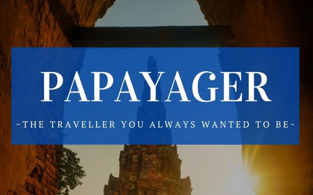 papayager-ebook
